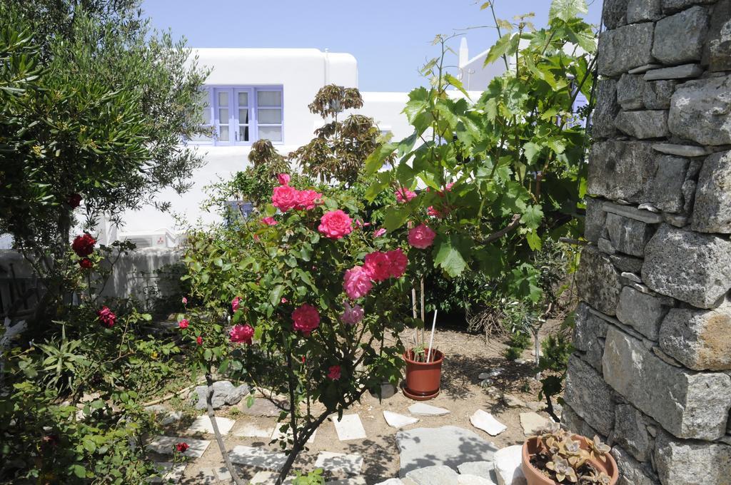 Andriani'S Guest House Mykonos Town Eksteriør bilde